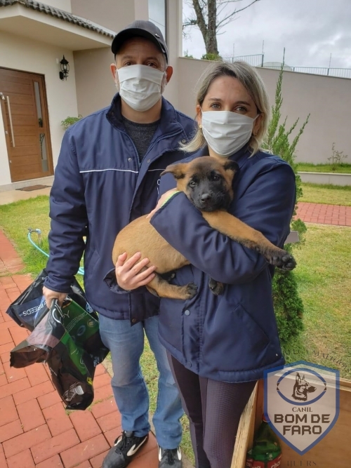 Famílias Felizes e seus Filhotes